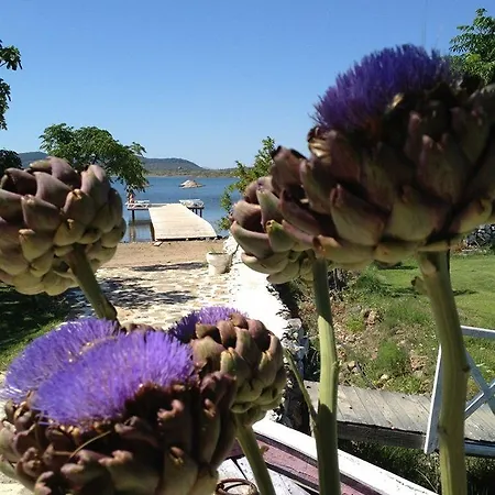 Biyikli 3* Ayvalik