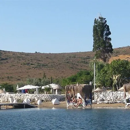 Biyikli 3*