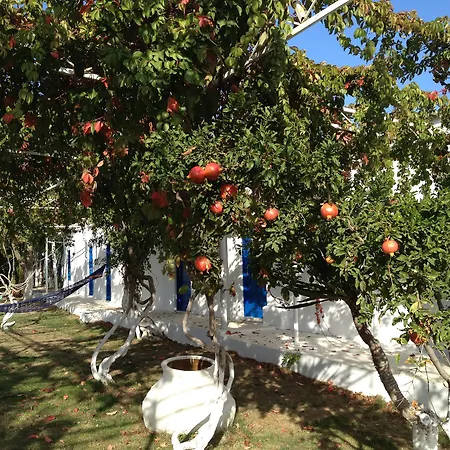 Biyikli 3* Ayvalı
